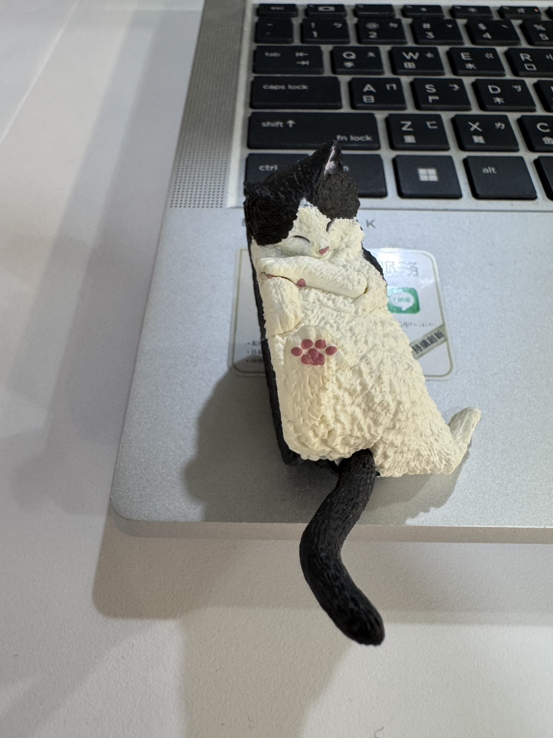 🐱日本帶回｜懶懶小肥貓扭蛋（限量一隻）